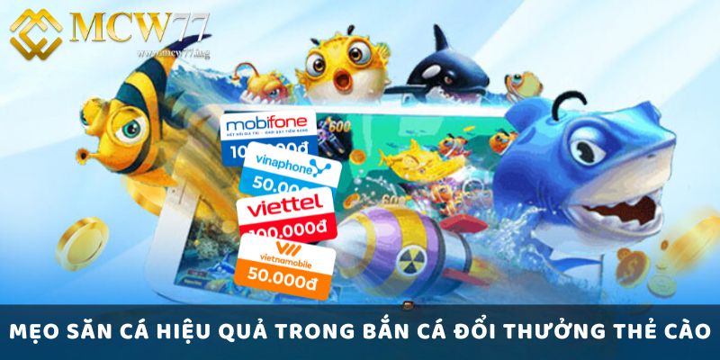 Mẹo Săn Cá Hiệu Quả Trong Bắn Cá Đổi Thưởng Thẻ Cào Mẹo Săn Cá Hiệu Quả Trong Bắn Cá Đổi Thưởng Thẻ Cào