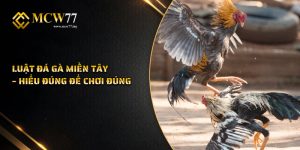 Luật Đá Gà Miền Tây – Hiểu Đúng Để Chơi Đúng