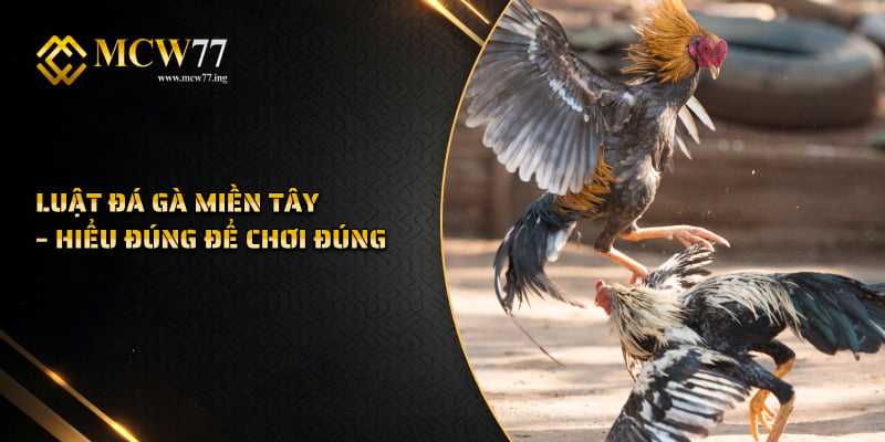 Luật Đá Gà Miền Tây – Hiểu Đúng Để Chơi Đúng