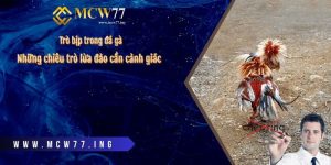 Trò bịp trong đá gà – Những chiêu trò lừa đảo cần cảnh giác