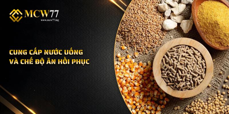 Cung Cấp Nước Uống và Chế Độ Ăn Hồi Phục