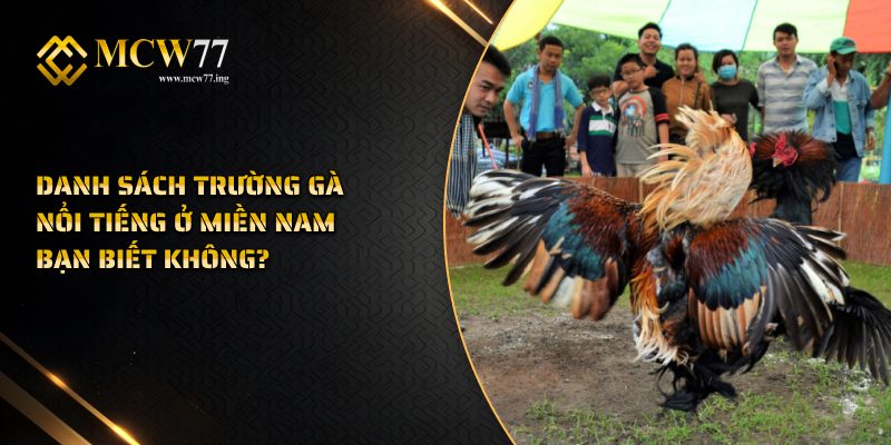 Danh Sách Trường Gà Nổi Tiếng Ở Miền Nam Bạn Biết Không?