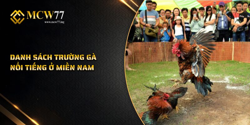 Danh Sách Trường Gà Nổi Tiếng Ở Miền Nam